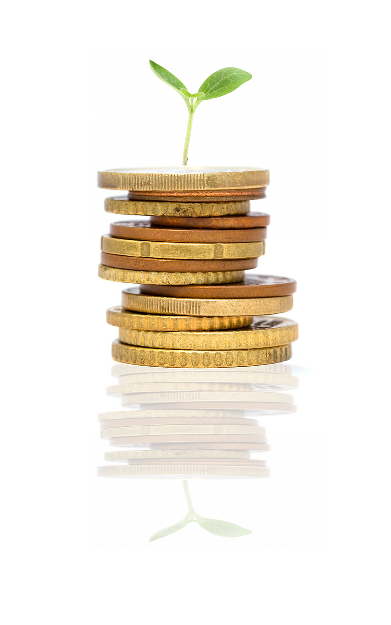Stapel von Euro-Münzen mit einer jungen Pflanze, die darauf keimt, symbolisiert die Neuanfänge und finanzielle Erholung durch Umschuldung von Krediten.